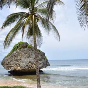 Meet your Posher, Betsy